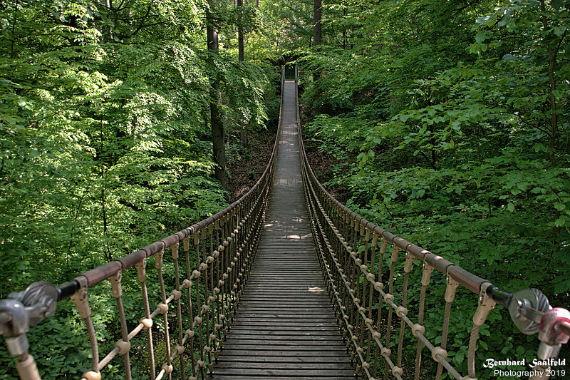 Bernhard Saalfeld - DSC00432 -1.jpg